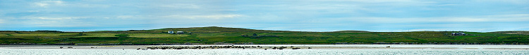 Picture of a panoramic view of seals sunning on a sandbank