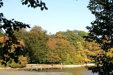 View over a lake in the park