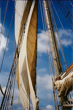 Looking up the foremast