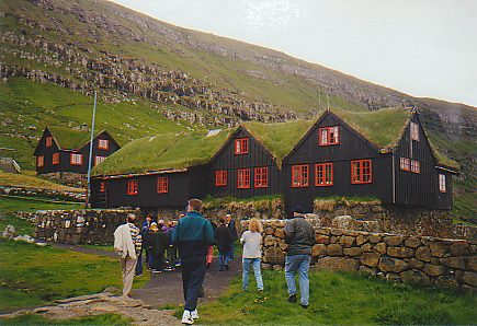 Picture of a wooden house with a grass roof