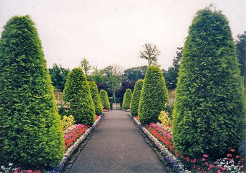 Picture of the Walled Garden