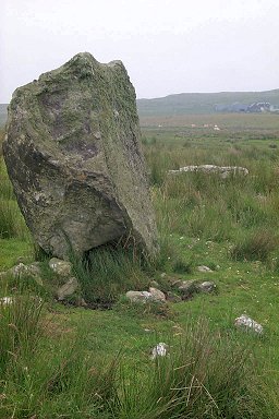 Picture of a standing stone