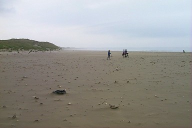 Picture of a large beach with four people on it
