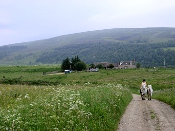 Picture of a farm with a rider coming up the road