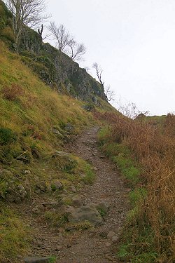 Picture of a footpath up a hill