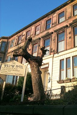 Picture of The Willow Hotel in Renfrew Street, Glasgow