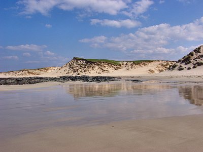 Picture of beach and dunes