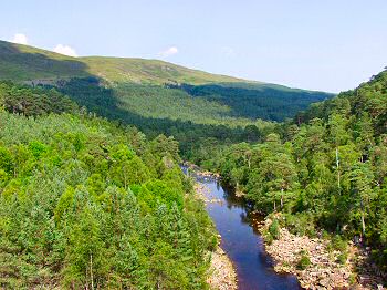 Picture of River Affric