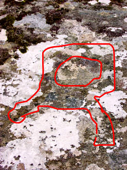 Picture of the first carved face, lines indicating the outline