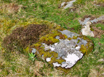 Picture of the stone where the food was left