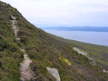 Picture of the path leading up Meall Biorach