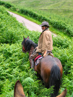 Picture of a rider in high fern