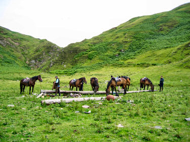 Picture of horses with the cliffs in the background