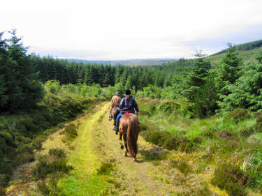 Picture of riders on a path through the forest on Kintyre