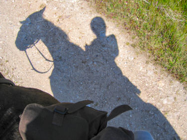 Picture of the shadow of a rider, taken from the horse