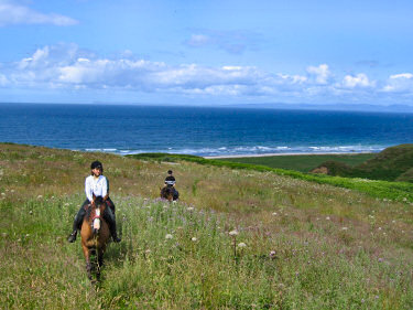 Picture of riders riding up a hill with the sea in the background