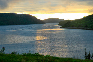 Picture of a view over a sea loch with the evening sun shining on the water