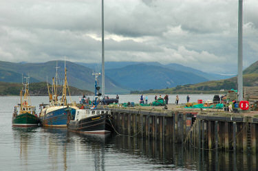 Picture of fishing boats in a harbour