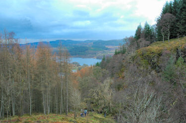 Picture of a view down a wooded hillside over a loch
