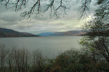 Picture of a view over a loch from under some trees