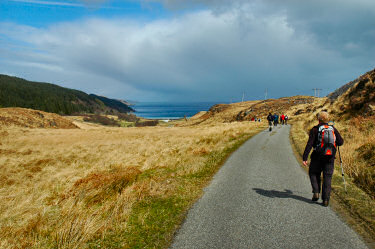 Picture of a single track road leading to a bay