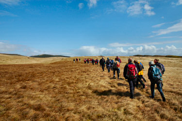 Picture of a long line of walkers on wide plain