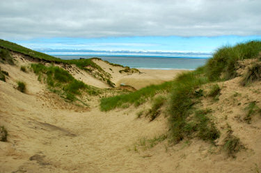 Picture of a view through dunes over a beach and out to sea