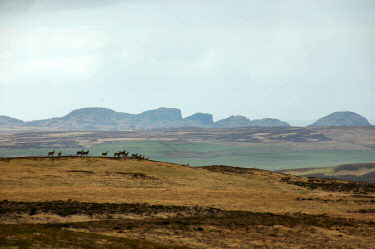Picture of deer on a hill with interestingly shaped hills and cliffs in the distance