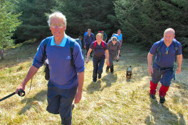 Picture of walkers coming up a hill, dogs on leads