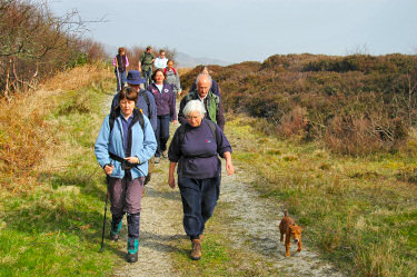 Picture of a group of walkers on a track, with a dog on a leash