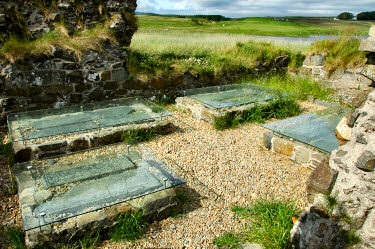Picture of ancient graveslabs sheltered by glass panes