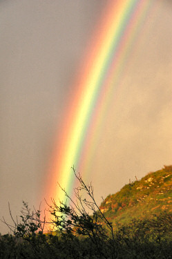 Picture of a closer look at a colourful rainbow