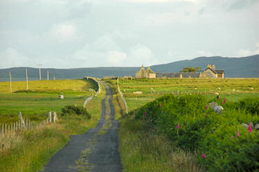 Picture of a single track road with a farm house in the evening light