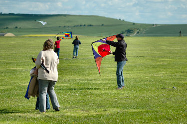 Picture of families flying kites