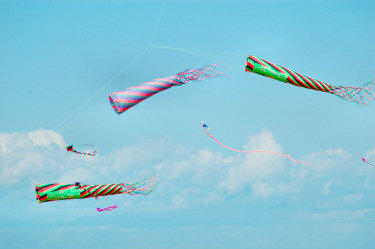 Picture of a variety of kites
