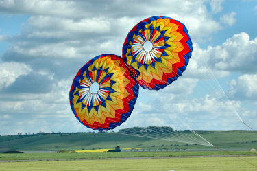 Picture of two smaller display kites