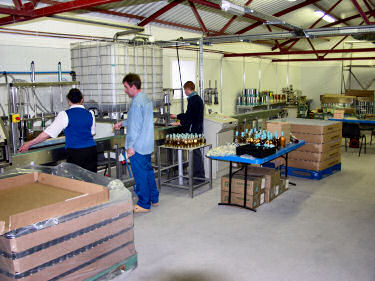 Picture of people working in a bottling facility